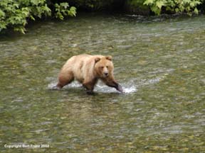 R7220104GrBe.jpg (14384 bytes)