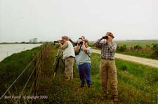 Attw03.JPG (7133 bytes)