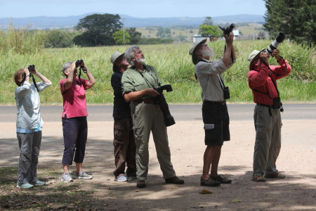 birders