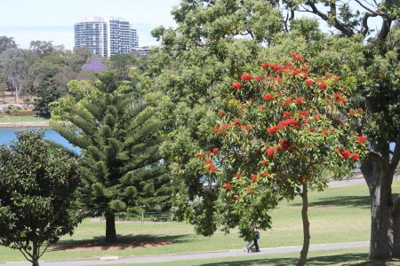 Sydney