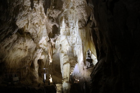 Waitomo caves