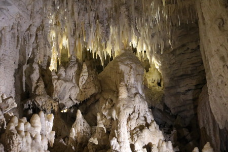 Waitomo caves