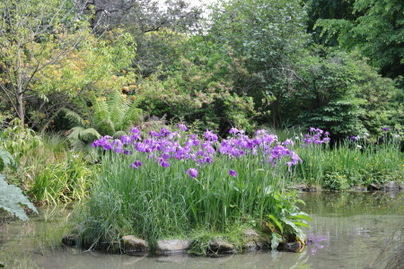 Christchurch Botanic Gardens