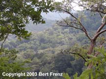 P1260063.jpg (11335 bytes)