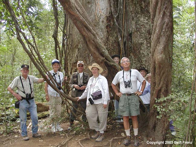 P2270107GuanX.jpg (92439 bytes)