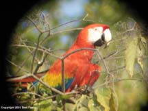 P1260063.jpg (11335 bytes)