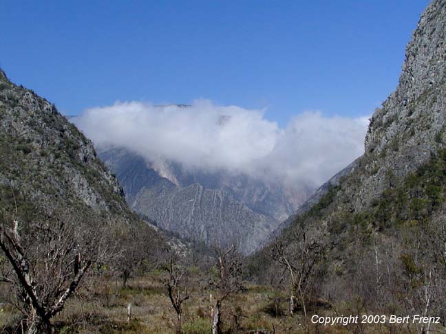 SierraMadre.JPG (55067 bytes)