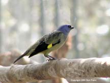 YWTa2270082.jpg (5824 bytes)