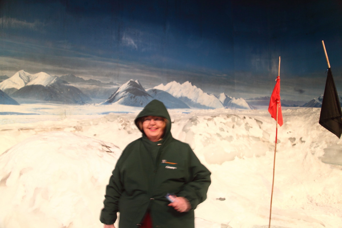 Antarctic Centre