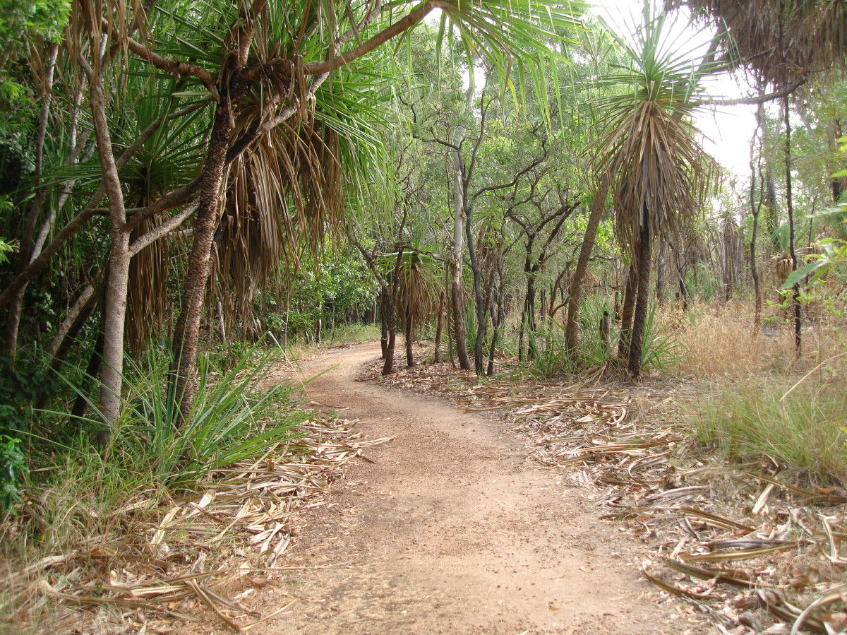 Howard Springs Nature Center