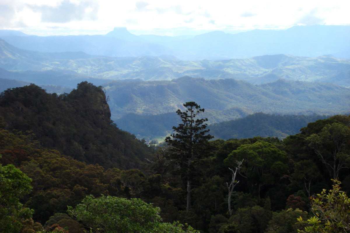 Lamington National Park