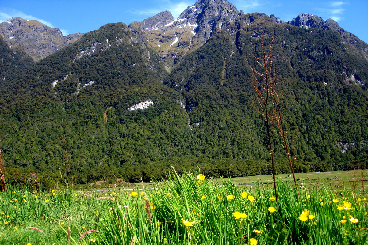 Mirror Lakes area