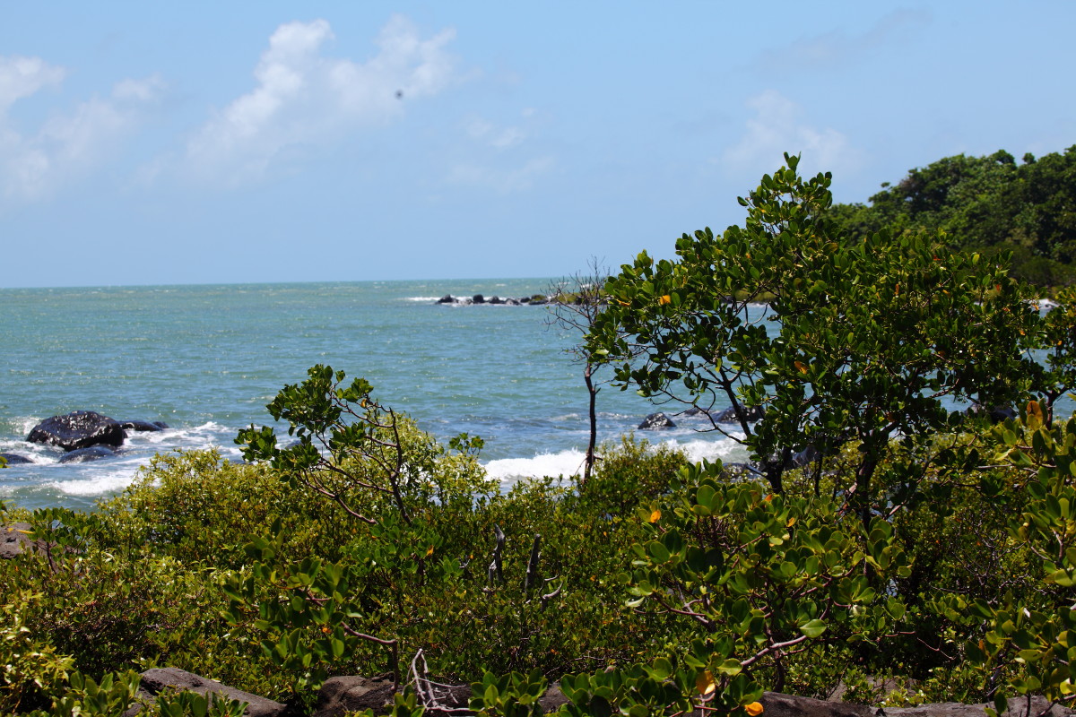 Mission Beach