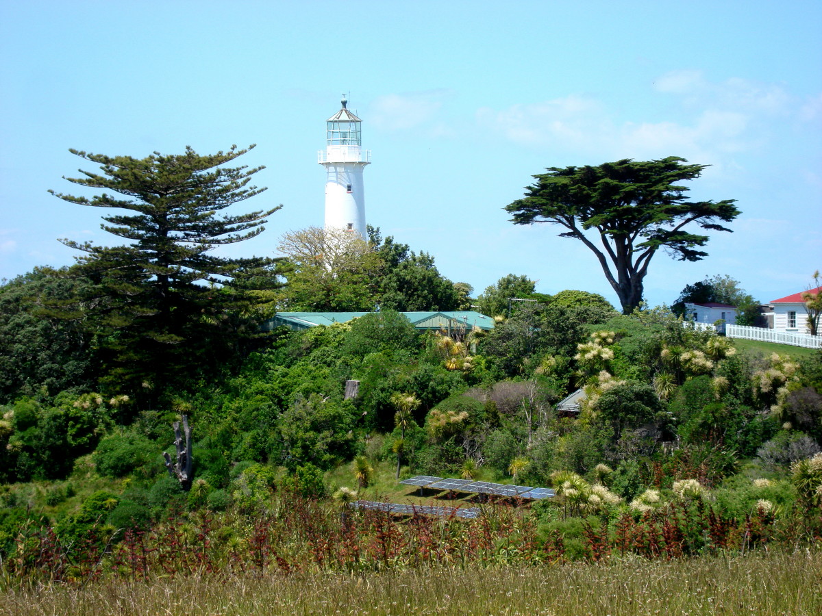 Tiritini Matangi