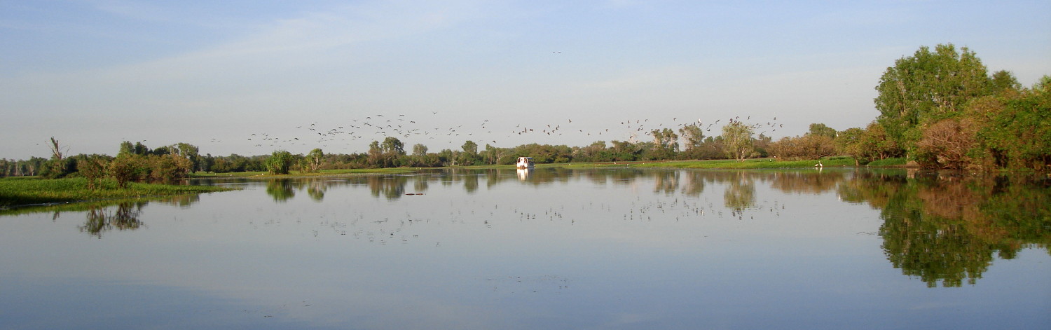 Yellow Water panoramic