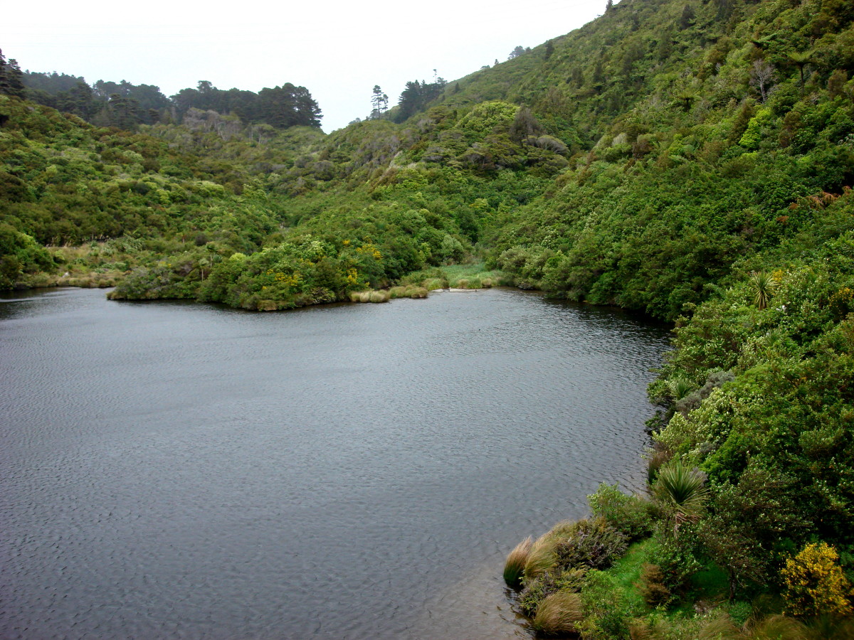 Zealandia