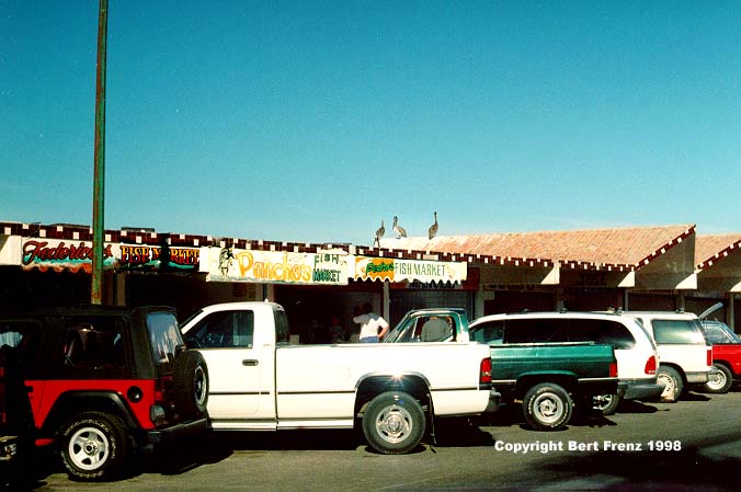 Mexfis1.JPG (51288 bytes)