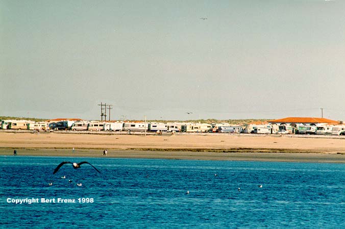 Mexrv1.JPG (49478 bytes)