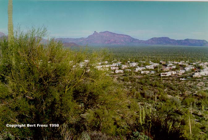 OrgancX1.jpg (80900 bytes)