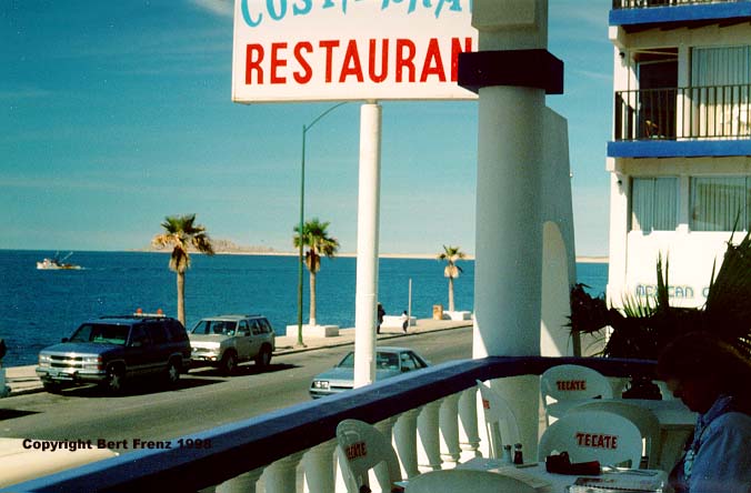 Rocky1.JPG (49459 bytes)