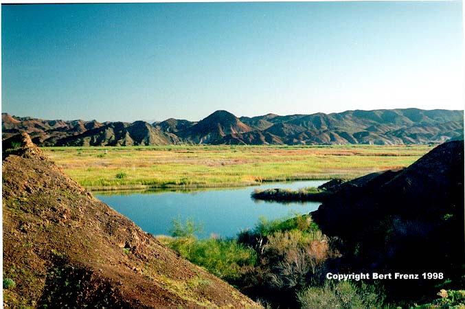 SenwasX1.JPG (71634 bytes)