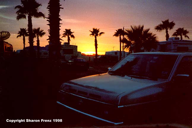 TonophX1.JPG (35979 bytes)