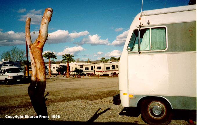 YumalkX1.jpg (57431 bytes)