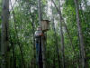 28Jun: Boreal Owl nesting box