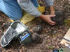 28Jun: Handling for measurements