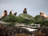 11May: Steller's Sea Lion, Barren Islands, AK