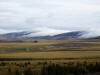 12Aug: Open tussock tundra, KM452, Dempster Hwy, YT