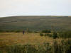 16Aug: Berry picking, Arctic Circle, KM406, Dempster Highway