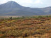 17Aug: Start of fall colors, KM 126, Dempster Hwy, YT