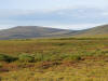 17Aug: Start of fall colors, KM 126, Dempster Hwy, YT