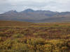 17Aug: KM103, Dempster Hwy, YT