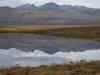 17Aug: Two Moose Lake, KM103, Dempster Hwy, YT