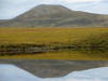 17Aug: Two Moose Lake, KM103, Dempster Hwy, YT