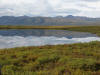 17Aug: Two Moose Lake, KM103, Dempster Hwy, YT