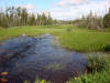 14Jun: Palmer-Matanuska Road, AK