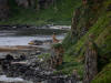 13Jul: Coast along Summer Bay Road, Unalaska Is.