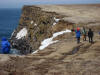 29May: Sea cliffs, Southwest Point, St. Paul Island, AK