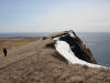 29May: Sea cliffs, Southwest Point, St. Paul Island, AK