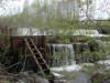 26May: American Dipper nest, Fish Hatchery, Anchorage, AK