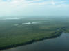 LF2. Northern Coastal Littoral Forest
Corozal Bay, New River and Four Mile Lagoon