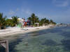 LF1. Cays Littoral Forest
Caye Caulker