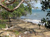 LF3. Central Coastal Littoral Forest
Caribbean Sea, north of Dangriga
