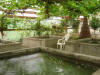 29Jun: Manley Hot Springs, Elliott Highway, AK