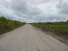 AG1. Northern Coastal Plain Cane Fields
San Victor loop