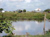 AG3. Northern and Central Agricultural Fields
Shipyard Road