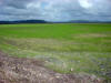 AG2. Orange Walk Rice Fields
Blue Creek Village